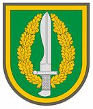 emblema1